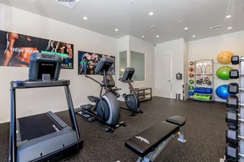 A gym with a treadmill, exercise bike, and other equipment.